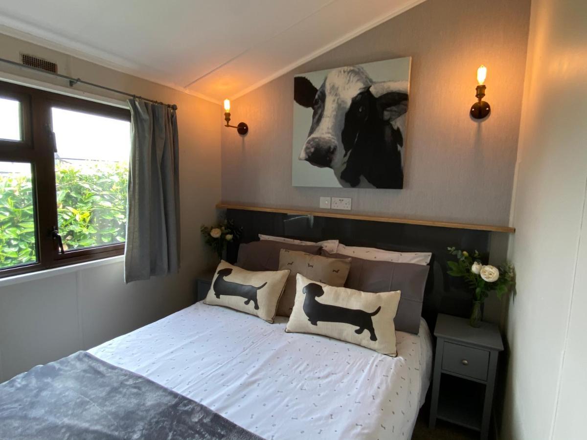 Rew Farm Country & Equestrian Accommodation - Sunrise Lodge Melksham Exterior foto